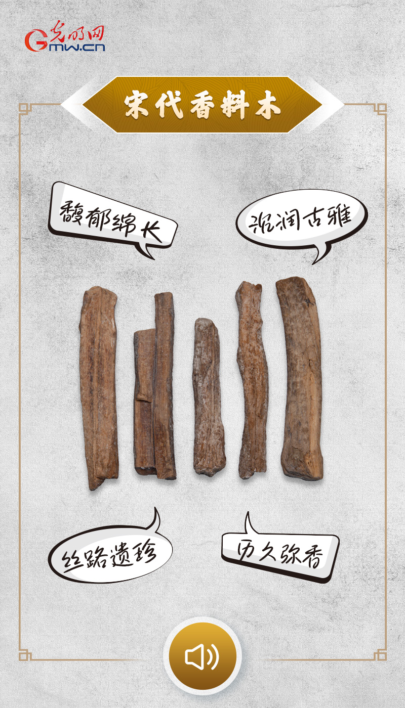 “文物会说话”有声海报｜暗香疏影，氤氲千年