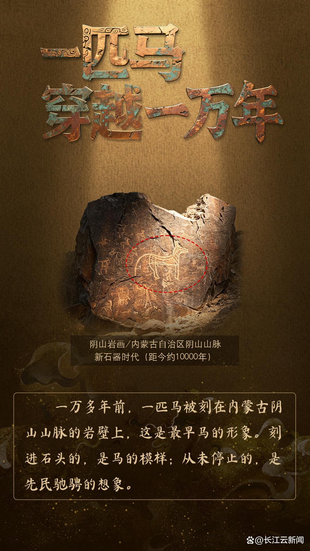 何以中国|一匹马穿越了一万年