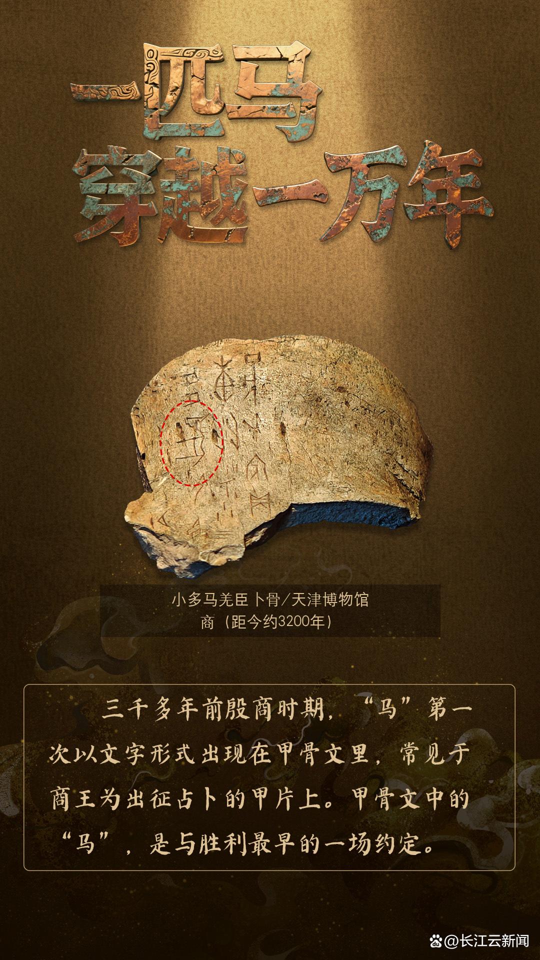 何以中国|一匹马穿越了一万年