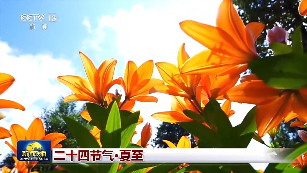 文化中国行丨二十四节气·夏至