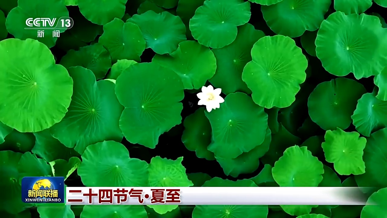 文化中国行丨二十四节气·夏至