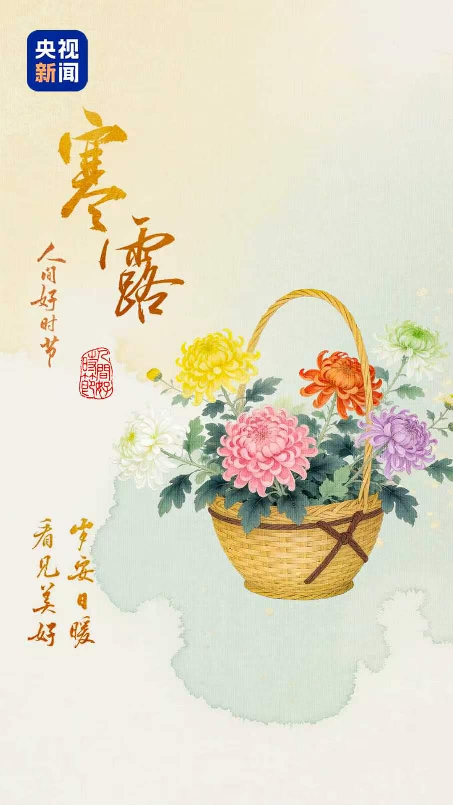 人间好时节|寒露:丹枫叠彩 秋光如饴