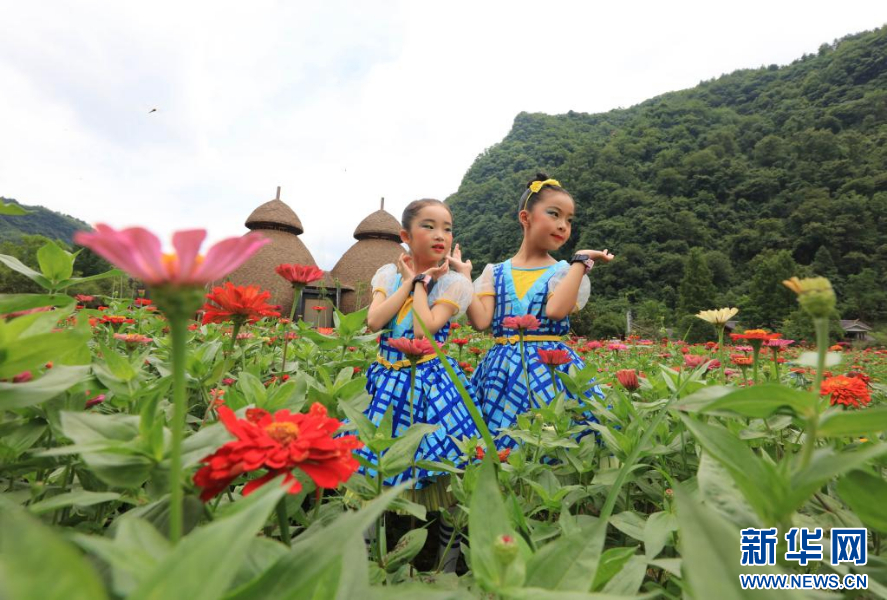 湖南张家界：夏日花海引客来