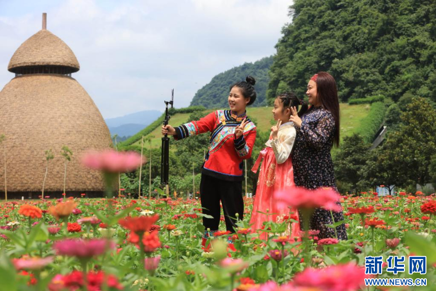 湖南张家界：夏日花海引客来