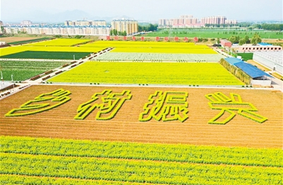 倾听黄河的声音 | 繁花深处听涛声