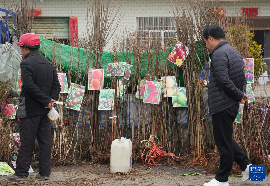 江西九江：赶大集 逛庙会