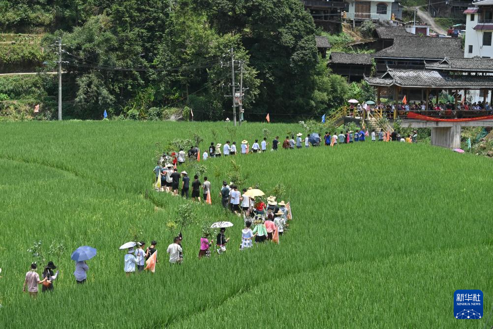 粤桂协作助力苗乡文旅产业振兴