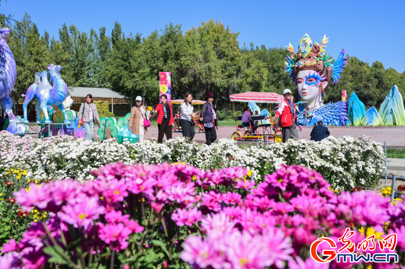 【网络中国节】九九重阳菊花开