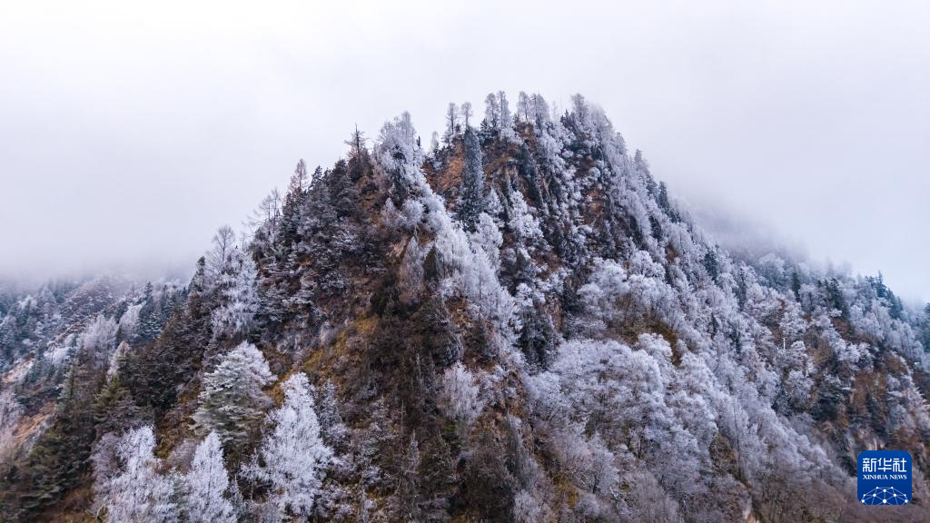 官鹅沟雪后美如画