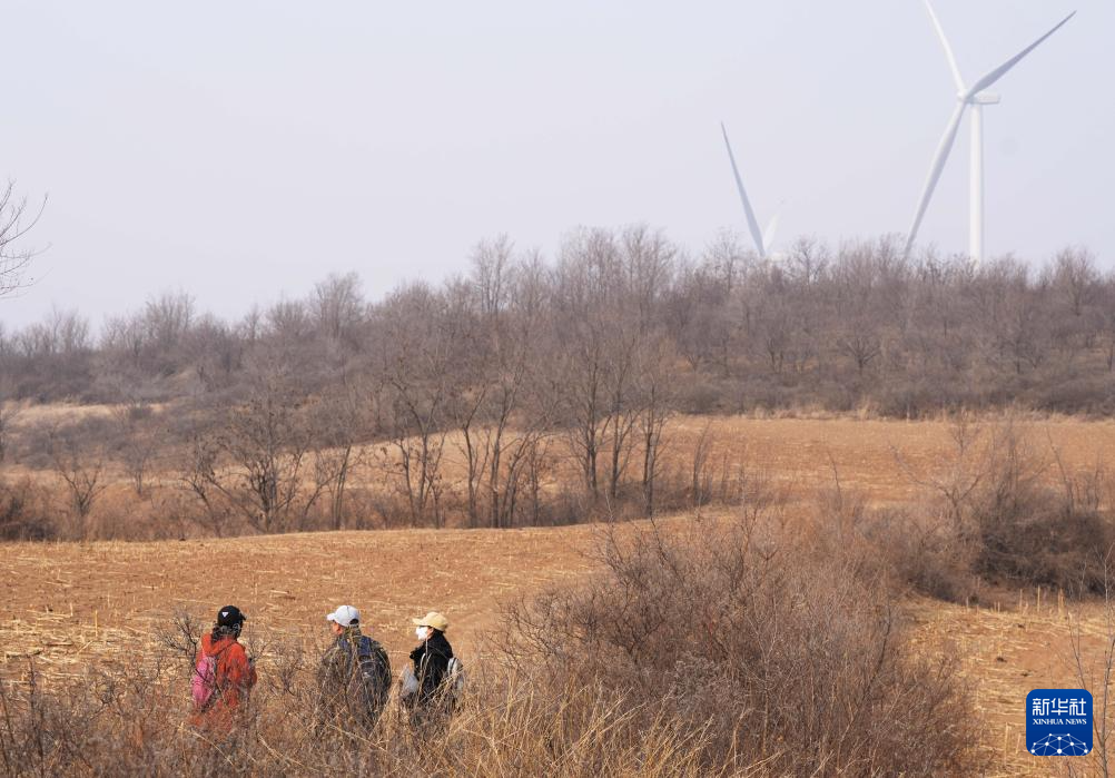 辽宁朝阳:调查红山文化遗迹