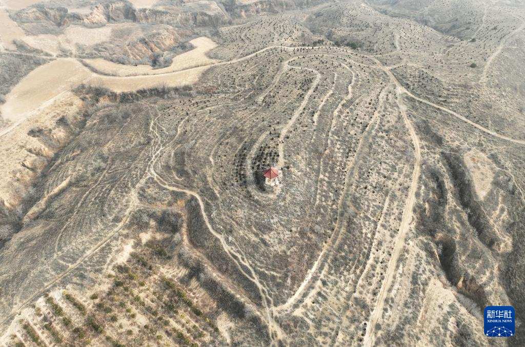 辽宁朝阳:调查红山文化遗迹