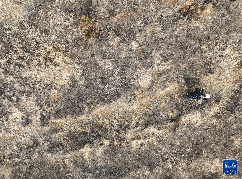 辽宁朝阳:调查红山文化遗迹