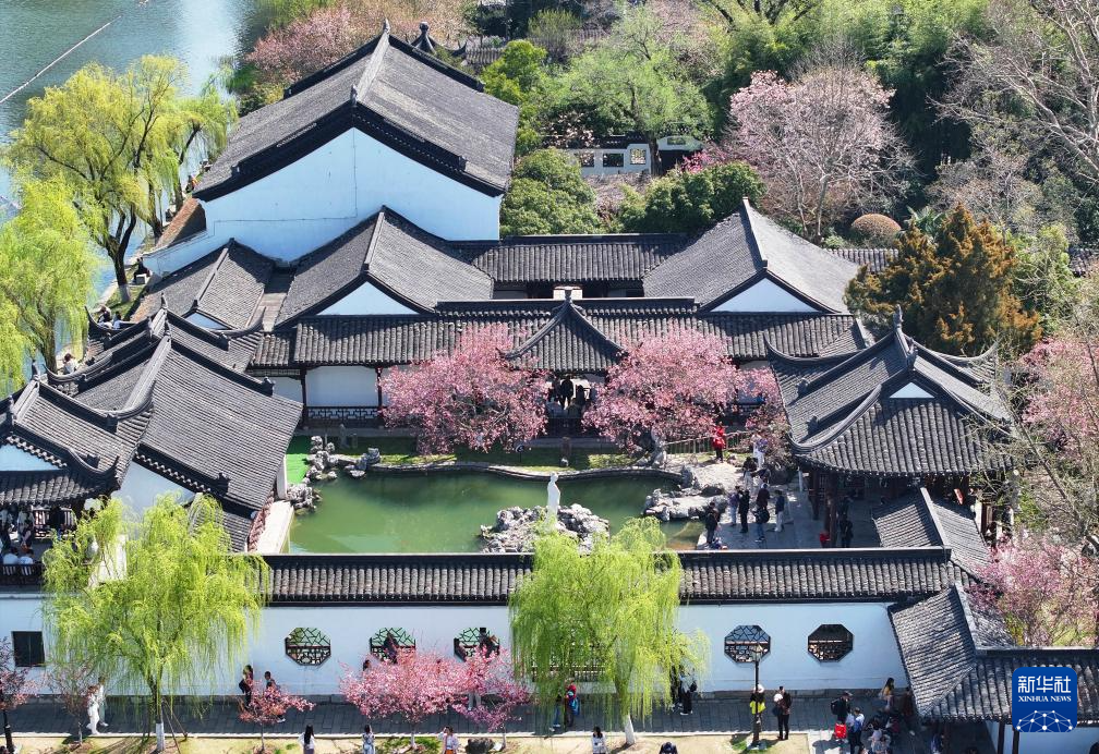 新华全媒＋丨穿越时光的浪漫——当古建邂逅春光