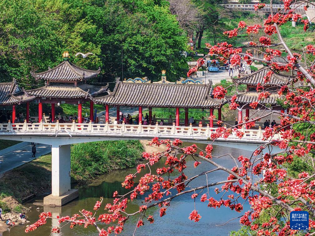 新华全媒＋丨穿越时光的浪漫——当古建邂逅春光