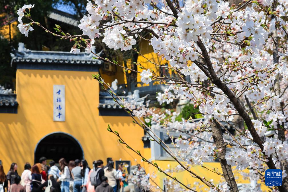 新华全媒＋丨穿越时光的浪漫——当古建邂逅春光