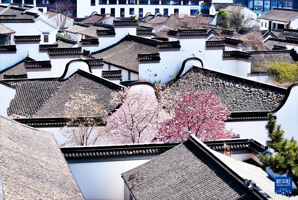 新华全媒＋丨穿越时光的浪漫——当古建邂逅春光