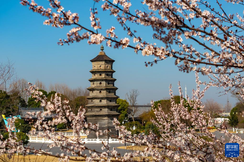 新华全媒＋丨穿越时光的浪漫——当古建邂逅春光