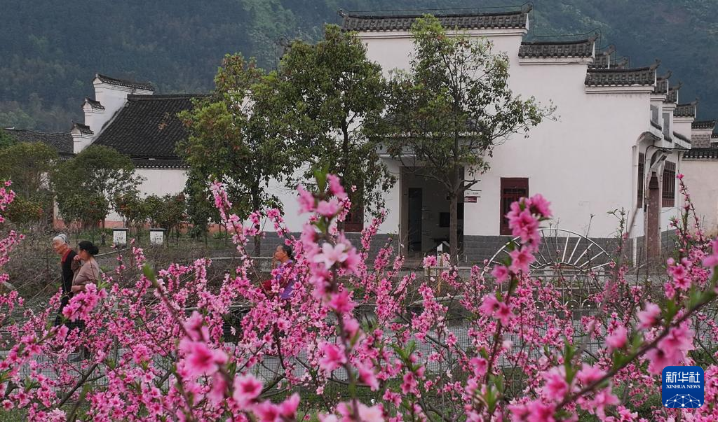 文化中国行｜湖南：探秘永州的老屋“大院”