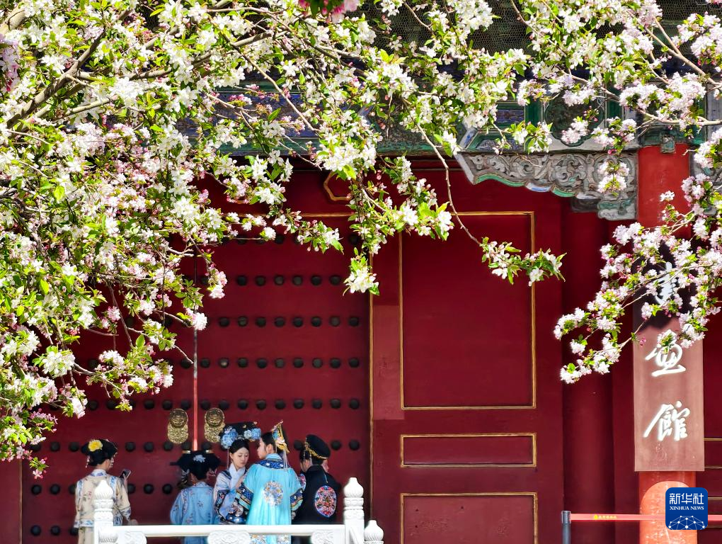 故宫花似锦