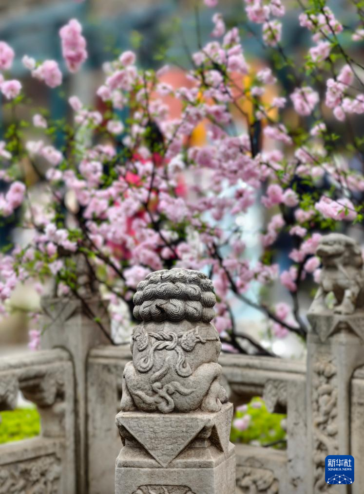 故宫花似锦