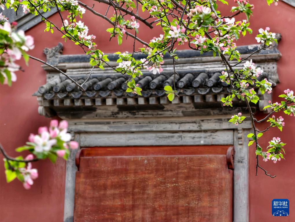 故宫花似锦