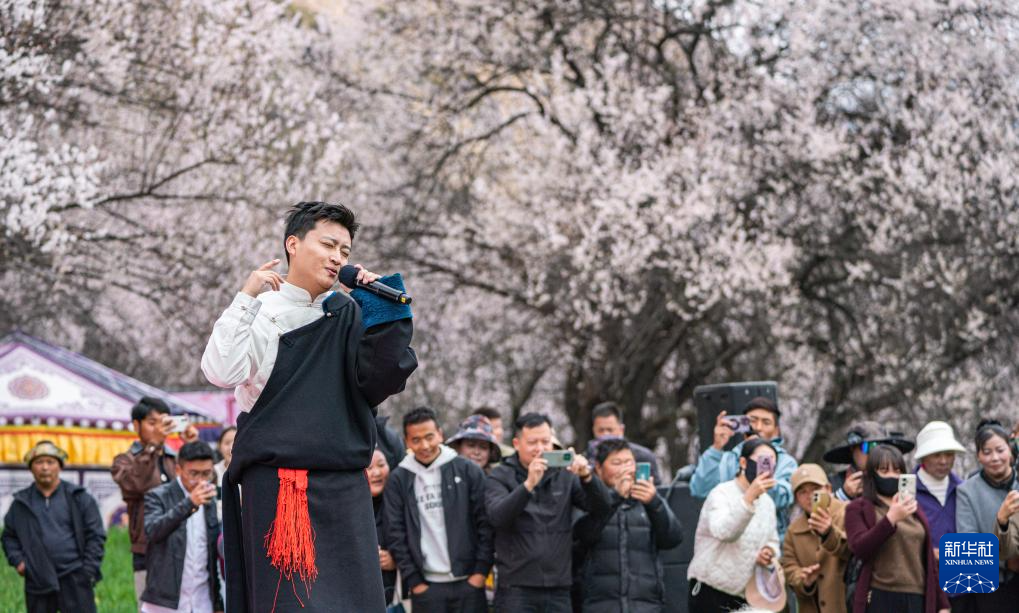 林芝桃花节启幕 雪域江南迎客来