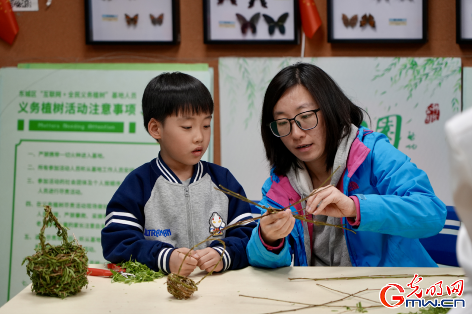 【网络中国节】组图丨清明到 柳篮编