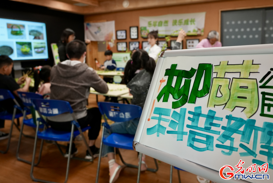 【网络中国节】组图丨清明到 柳篮编