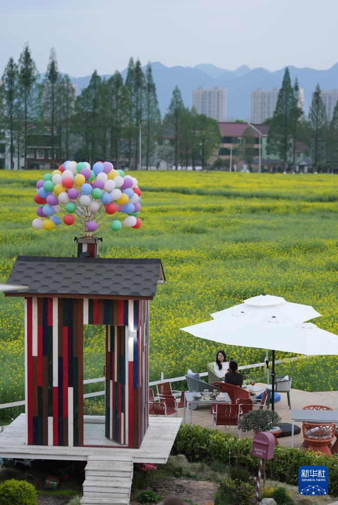 浙江桐庐：油菜花开引客来