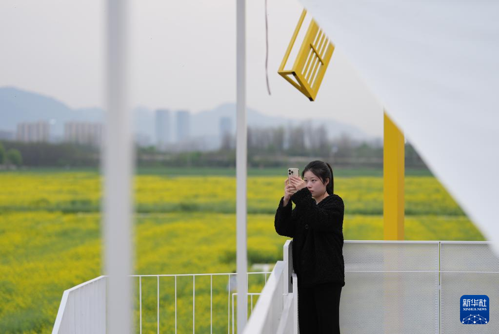浙江桐庐：油菜花开引客来