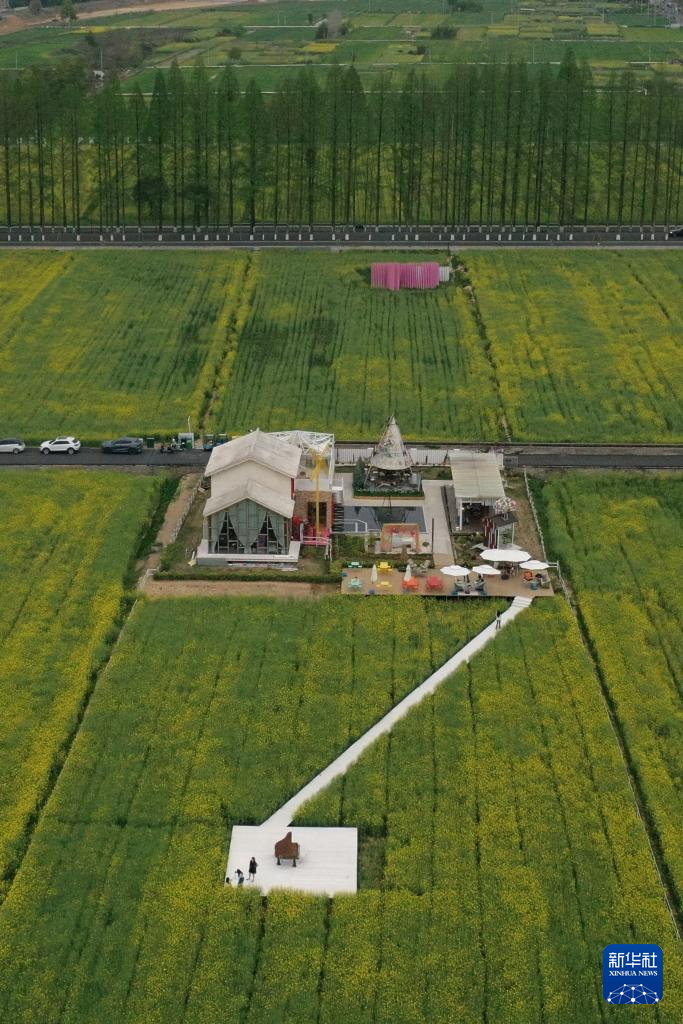 浙江桐庐：油菜花开引客来