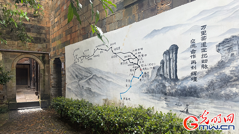 【何以中国】探寻万里茶道起点：穿越古今的茶香