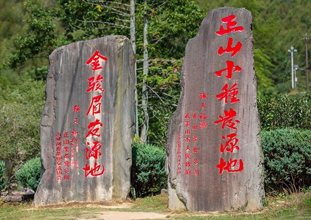 【何以中国】正山小种：好山好水出好茶