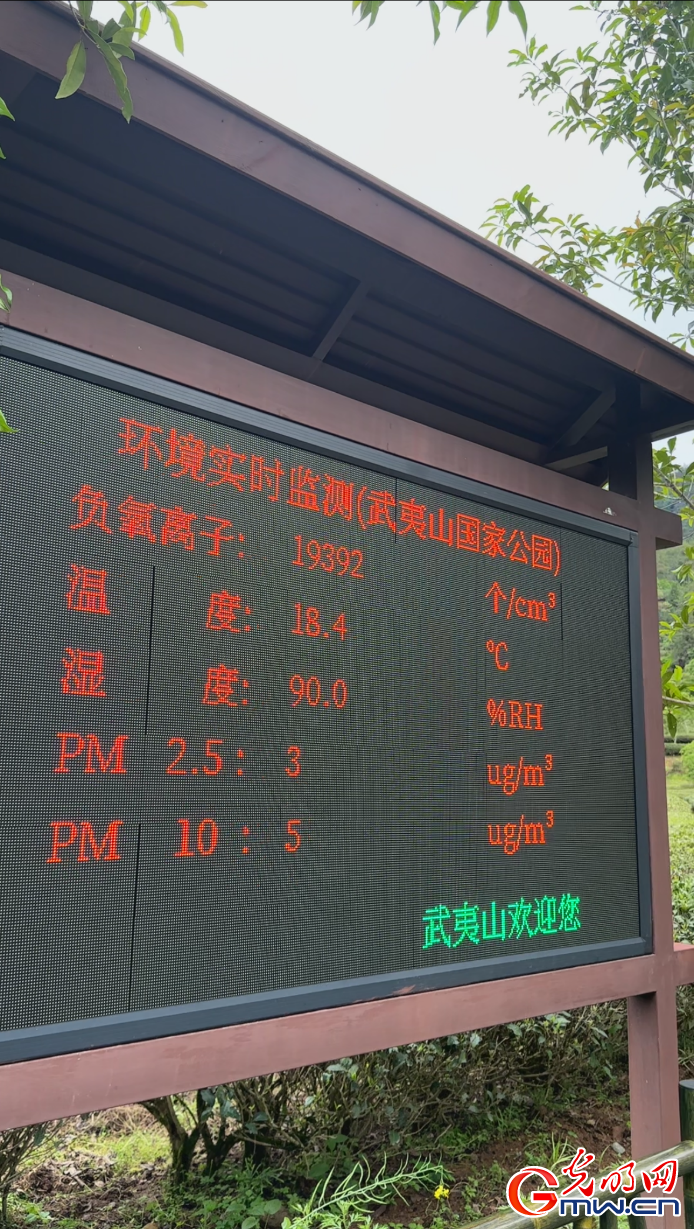 【何以中国】武夷山燕子窠生态茶园里的“黑科技”