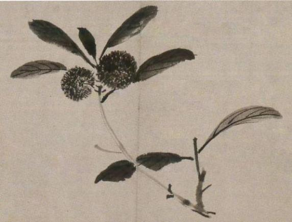 【网络中国节·端午】云端的美食家——跟着AI“粽”览古籍中的端午