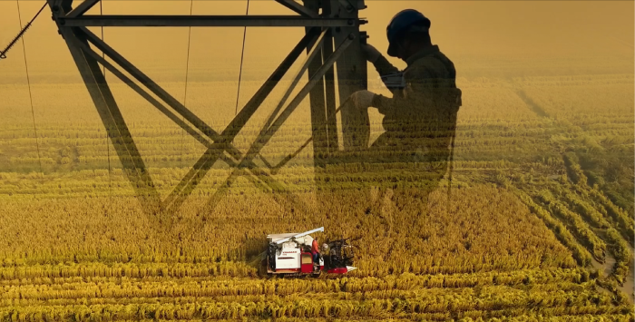 【网络中国节·端午】微视频丨奋楫江河