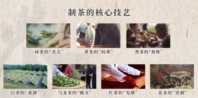 【文化和自然遗产日】漫动时节丨茶：人在草木间