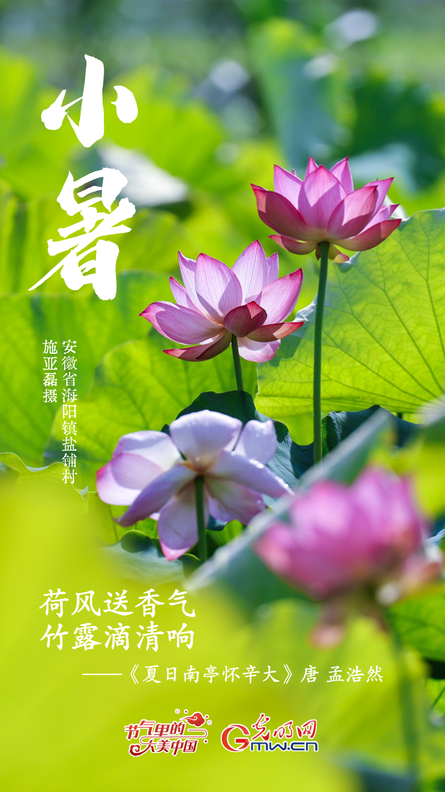 【节气里的大美中国】海报丨寻荷香、访清凉，赴小暑好时光