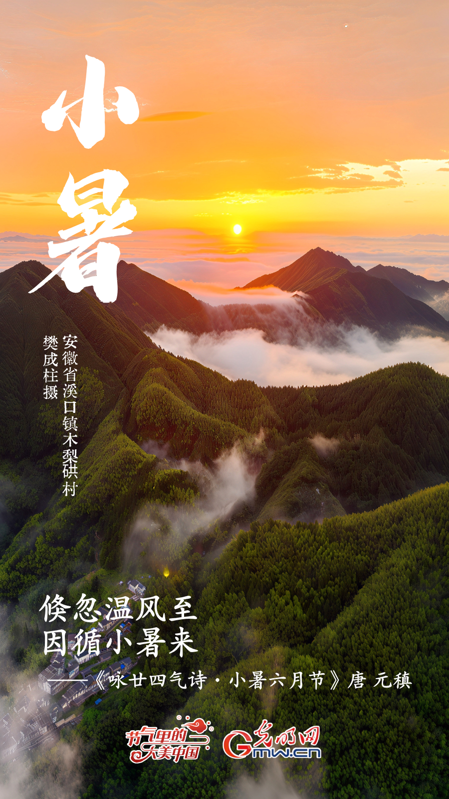 【节气里的大美中国】海报丨寻荷香、访清凉，赴小暑好时光