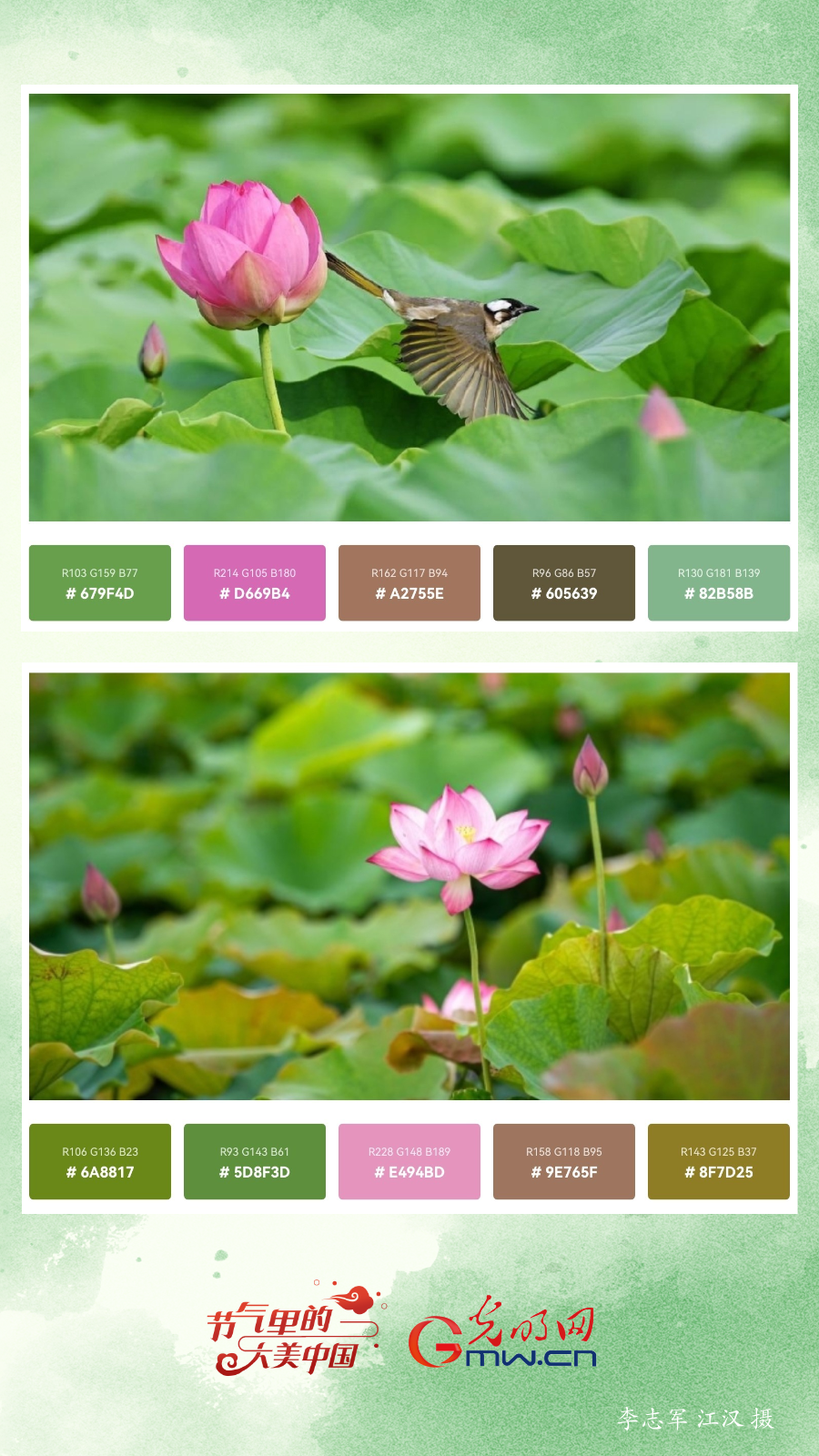 【节气里的大美中国】用色卡打开小暑，高颜值、好时光！