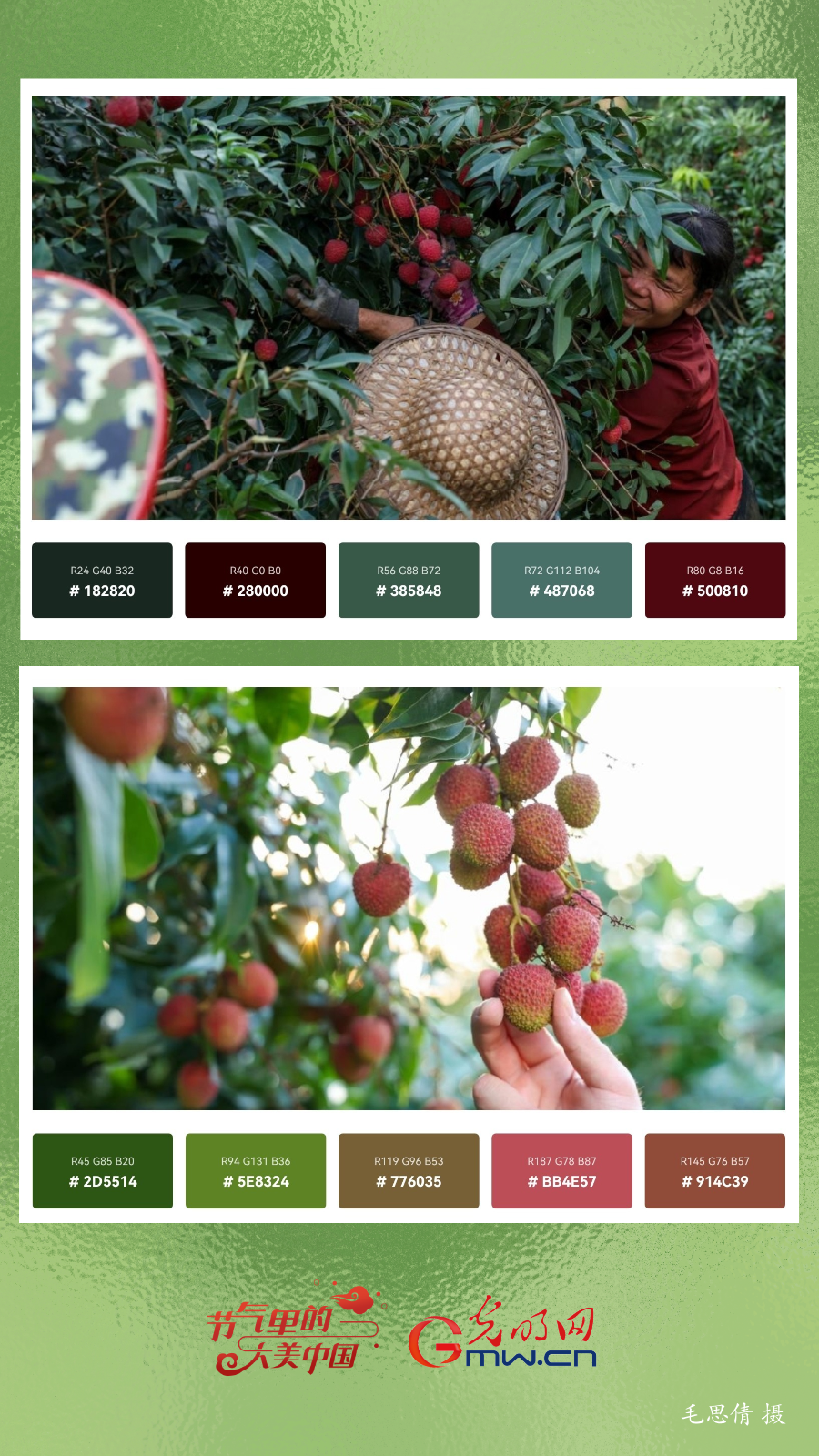 【节气里的大美中国】用色卡打开小暑，高颜值、好时光！