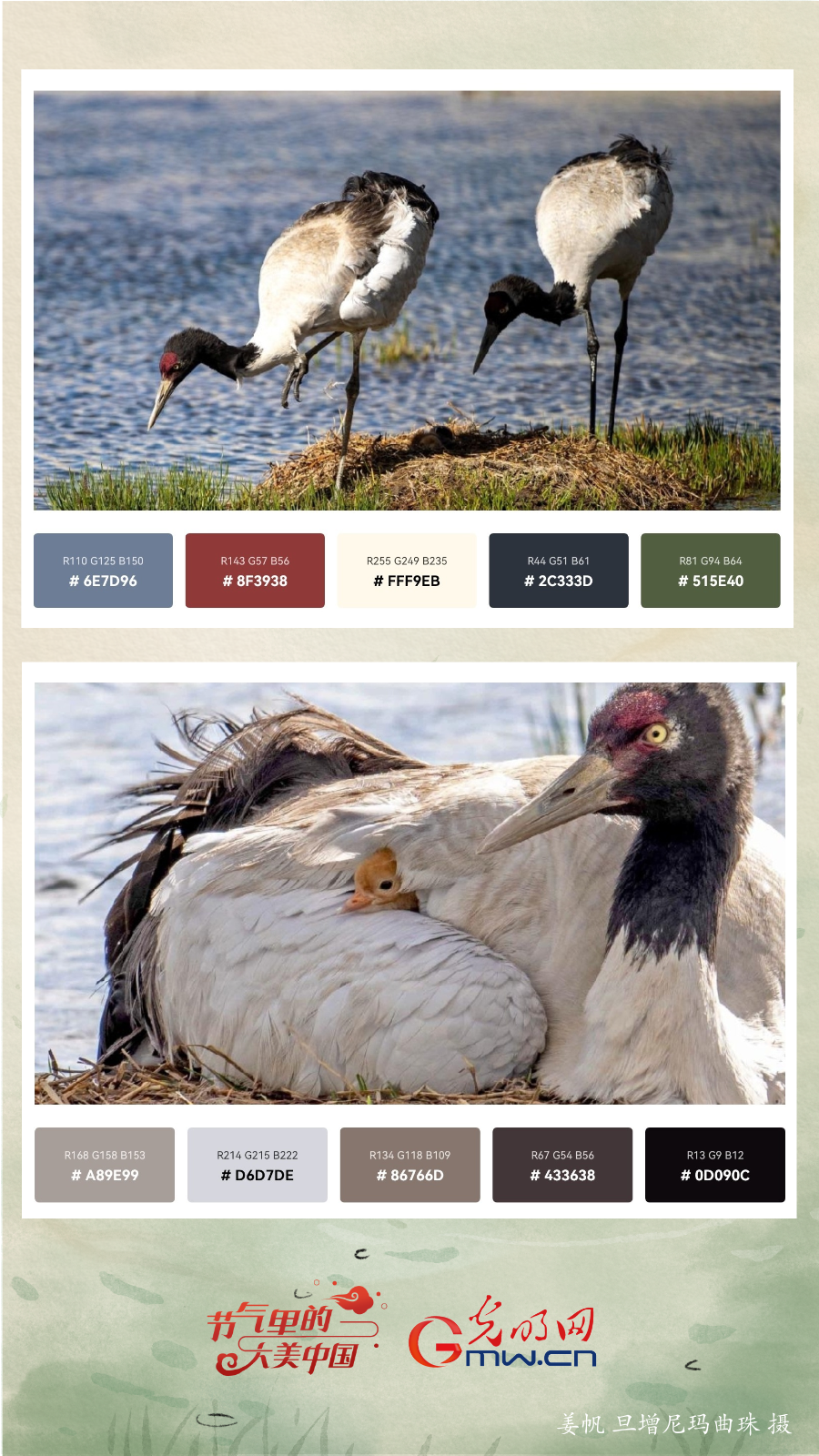 【节气里的大美中国】用色卡打开小暑，高颜值、好时光！