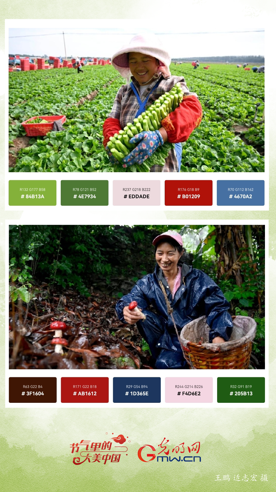 【节气里的大美中国】用色卡打开小暑，高颜值、好时光！