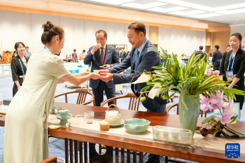 上合组织天津峰会丨非遗迎贵宾 文明共璀璨