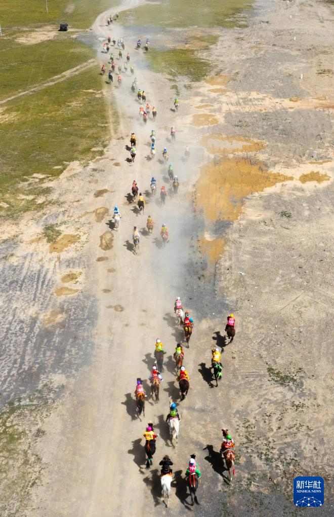 新华全媒+丨高原竞速:马蹄踏响羌塘草原