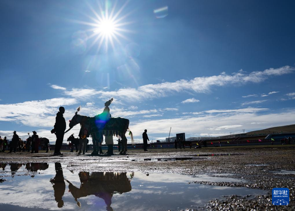 新华全媒+丨高原竞速:马蹄踏响羌塘草原