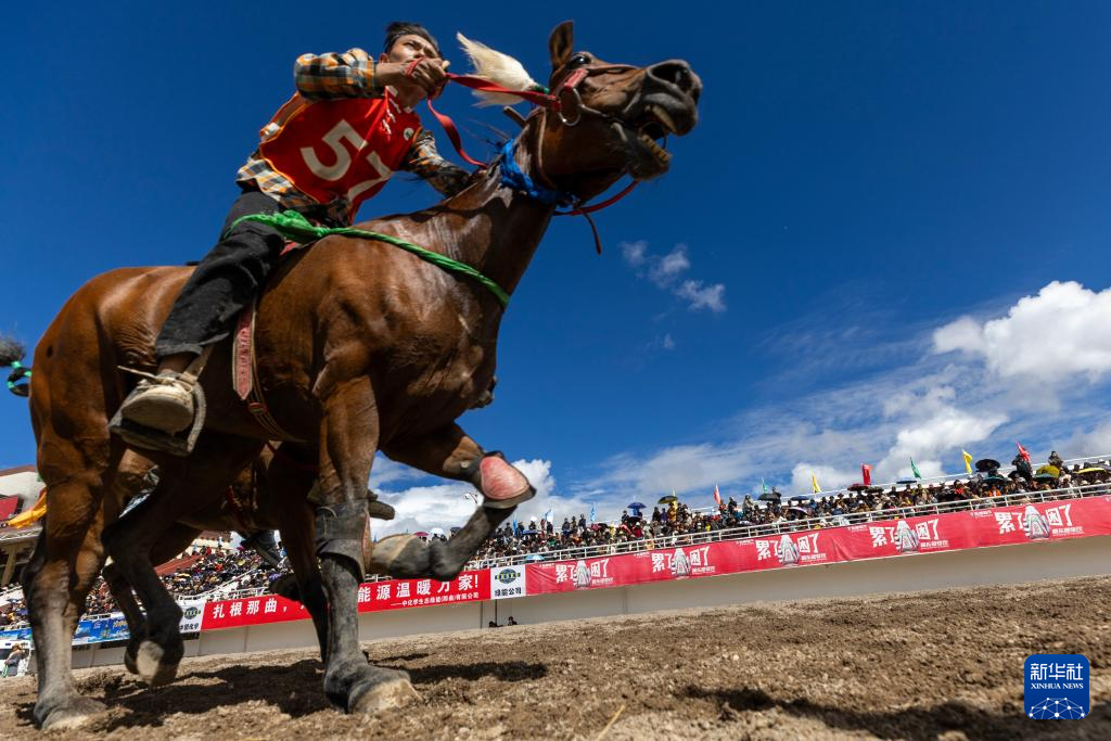 新华全媒+丨高原竞速:马蹄踏响羌塘草原
