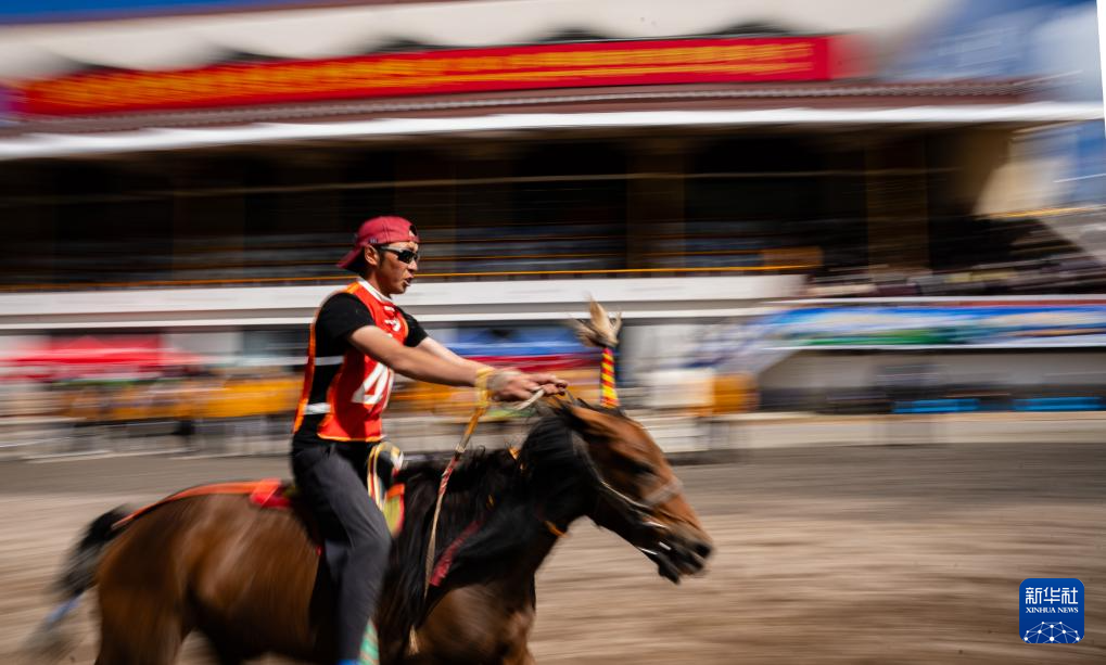 新华全媒+丨高原竞速:马蹄踏响羌塘草原