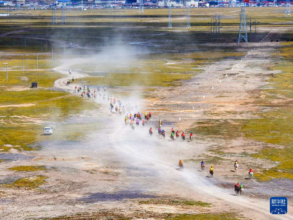 新华全媒+丨高原竞速:马蹄踏响羌塘草原