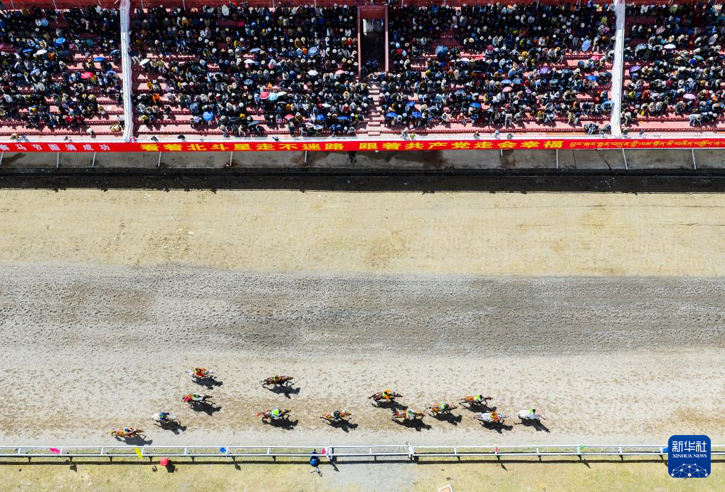 新华全媒+丨高原竞速:马蹄踏响羌塘草原
